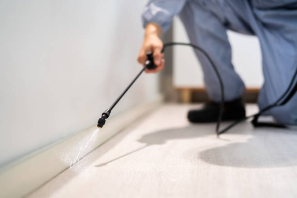 Licensed Mosquito Control service in Rainbow Lakes Estates, FL - Show Me Pest Control