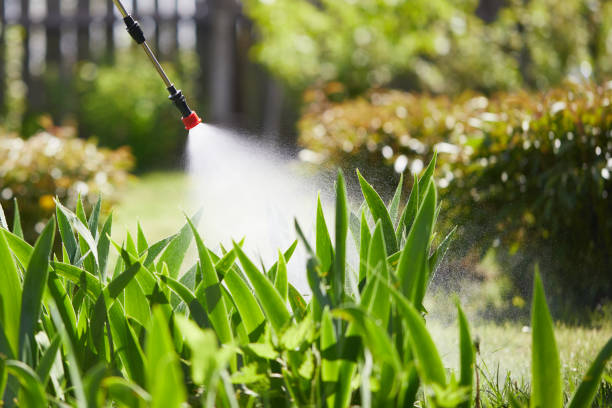 24/7 Emergency Mosquito Control experts in Rainbow Lakes Estates, FL
