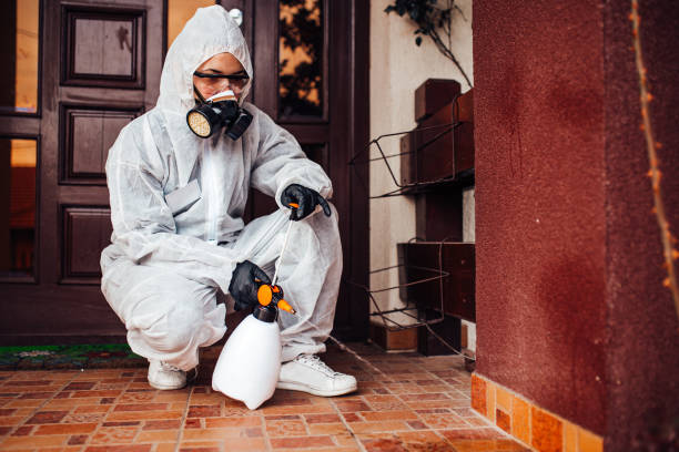 Reliable Mosquito Control contractor in Rainbow Lakes Estates, FL by Show Me Pest Control